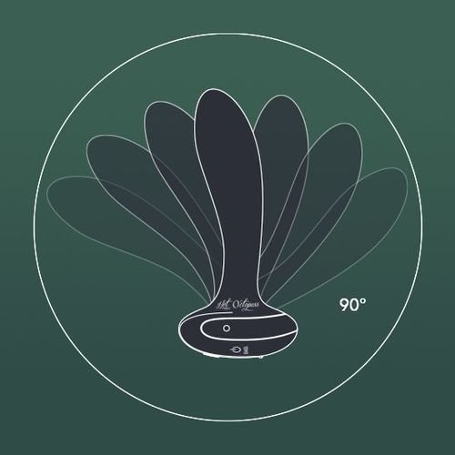 Hot Octopuss - PleX with Flex 後庭塞連遙控 照片