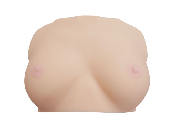 Technological prowess and porn: could you get a more Japanes... KMP - 3D Scanned Rika Hoshimi's Tits photo-3