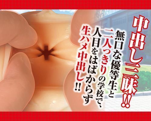 A-One - 瑠璃子优等性中出飞机杯 照片