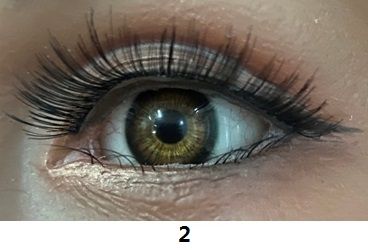 Eye color Eye color
