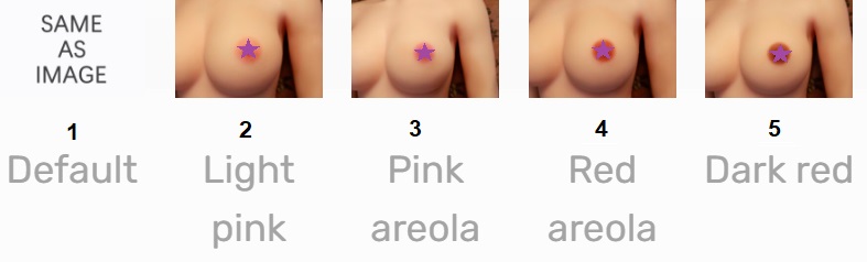 areola areola
