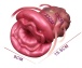 FAAK - Giant Mouth Flower Masturbator - Pink photo-12