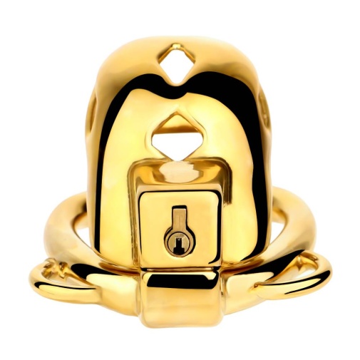 FAAK - Chastity Cage 184 - Gold photo