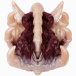 FAAK - Soul Embracer Masturbator - Flesh/Red photo-4