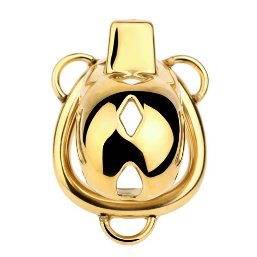 FAAK - Chastity Cage 184 w Belt & Plug - Gold photo