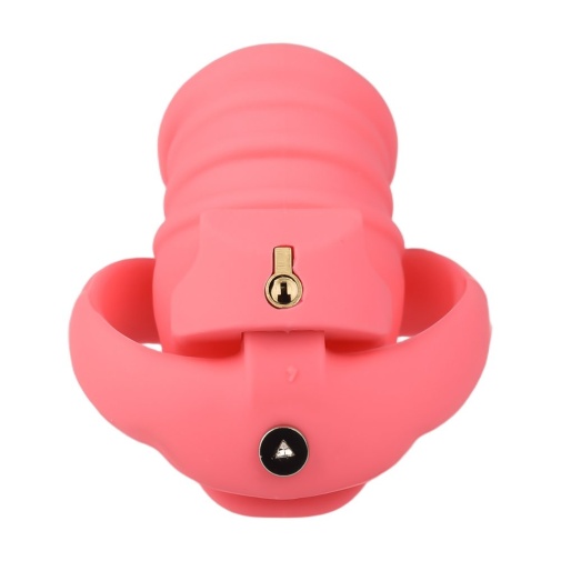 FAAK - Long Resin Chastity Cage - Red photo