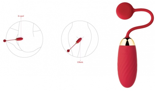 SVAKOM - Ella Egg APP 控制無線震蛋 - 紅色 照片