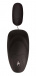 Mistress - Mia Backdoor Butt Vibro Masturbator photo-2