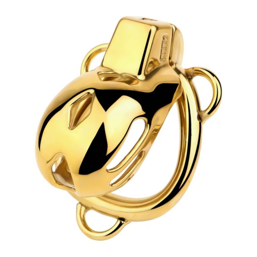 FAAK - Chastity Cage 184 w Belt & Plug - Gold photo