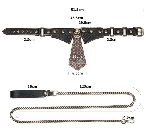 Lovetoy - Rebellion Reign Collar w Leash - Black photo
