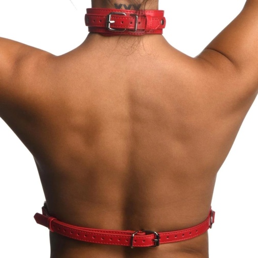 Strict - Female Chest Harness - Red - S/M photo