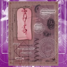 Toysheart - 夢之幻術師之穴 6代 自慰器 照片