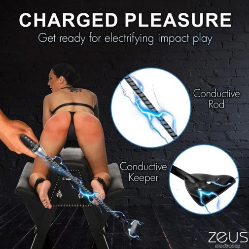 Zeus Electrosex - 电刺激马鞭 - 黑色 照片