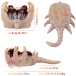 FAAK - Soul Embracer Masturbator - Flesh/Red photo-12