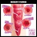 SSI - Kana Morisawa Japanese Real Hole Masturbator photo-2