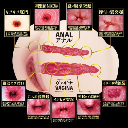 NPG - Eimi Fukada 2 孔自慰器 3.1kg 照片