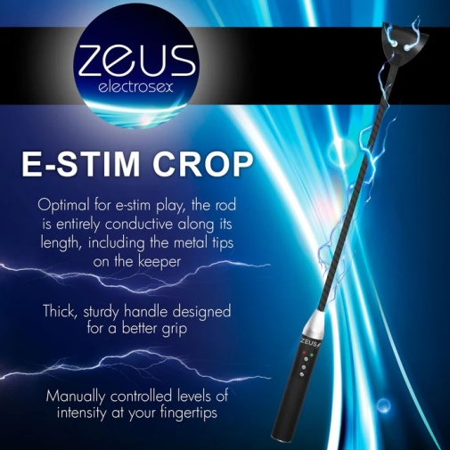 Zeus Electrosex - 电刺激马鞭 - 黑色 照片