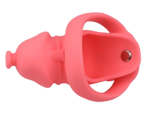 FAAK - Long Resin Chastity Cage - Red photo