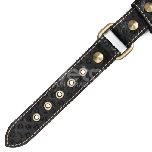 Lovetoy - Rebellion Reign Collar w Leash - Black photo