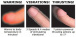 King Cock - Triple Threat Thrusting Cock 6.5" - Flesh photo-9