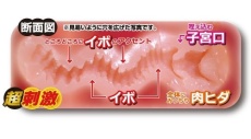 Toysheart - 工口姐姐超刺激版 飛機杯 照片