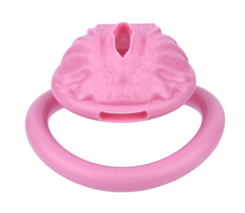 FAAK - Resin Pussy Chastity Cage - Pink photo