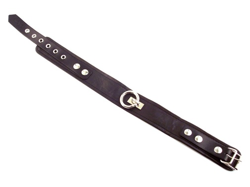 Rouge - Leather Collar - Black photo