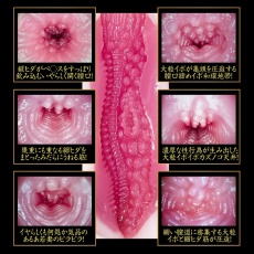 NPG - 葵司 募集若妻 2代目 自慰器  照片