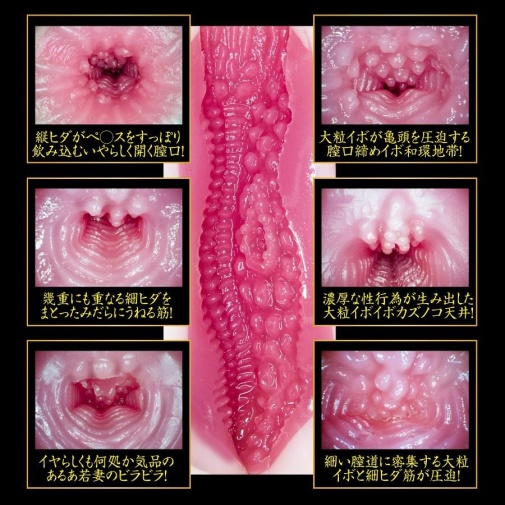 NPG - Tsukasa Aoi 2nd Generation Masturbator photo
