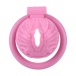 FAAK - Resin Pussy Chastity Cage - Pink photo