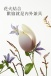Floon - 1+1 快感震動套裝 - 傍晚黃色 照片-11
