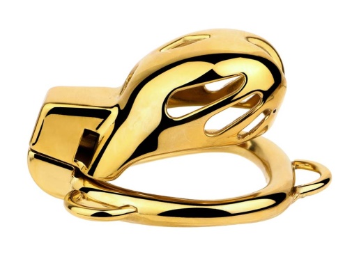 FAAK - Chastity Cage 184 w Belt & Plug - Gold photo
