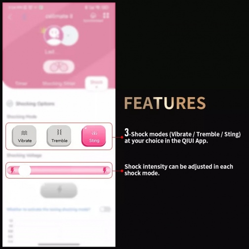 QIUI - APP 控制貞操鎖  - 黑色 照片