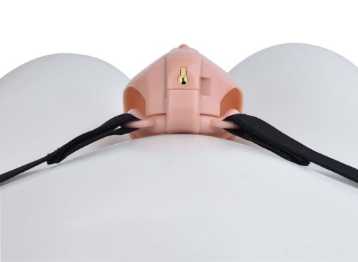 FAAK - Clitoris Chastity Cage w Belt & Plug - Skin photo