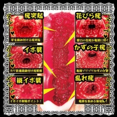 NPG - Immediate Service 女僕相澤南自慰器 照片