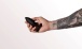 Je Joue - Egon Vibro Butt Plug - Black photo-5