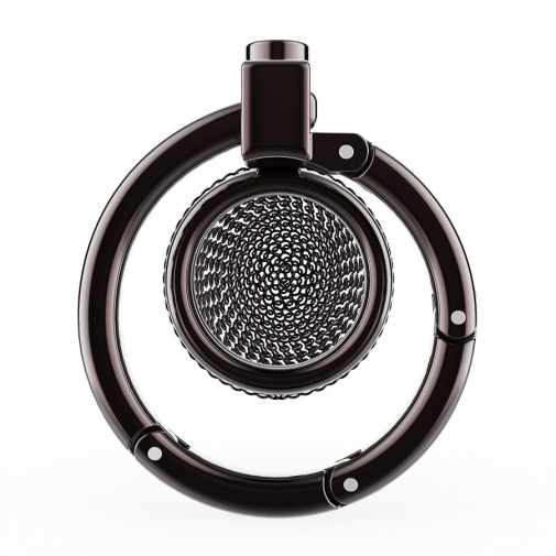 Sevanda - Hauberk Chastity Cage S - Black photo
