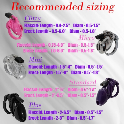 Locked in Lust - Vice Mini V2 Chasity Cage - Pink photo