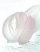 Juicy Pussy - Crystal Rose 自慰器 - 透明 照片-7
