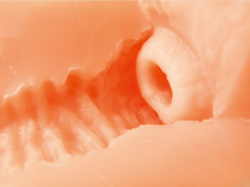 ToysHeart - G-19 Secret Uterus 自慰器 照片