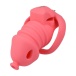 FAAK - Long Resin Chastity Cage - Red photo