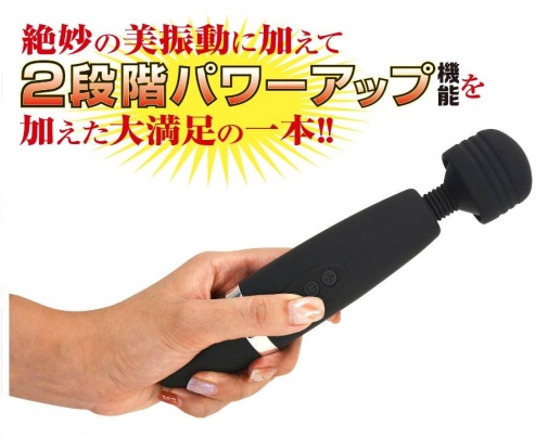NPG - Arina Hashimoto Denma Massager - Black photo