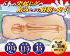 A-One - 瑠璃子優等性中出飛機杯 照片