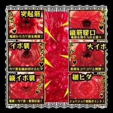 NPG - Immediate Service 女僕深田詠美自慰器 照片