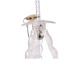 MT - Resin Anal Expander photo-5