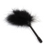 Chisa - Pleasure Feather Tickler - Black photo-2