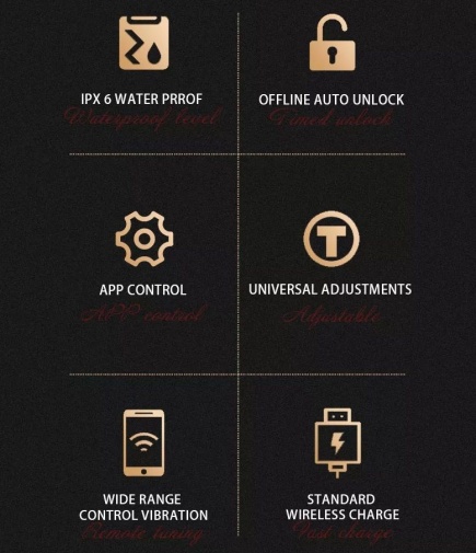 QIUI - APP 控制貞操鎖  - 黑色 照片