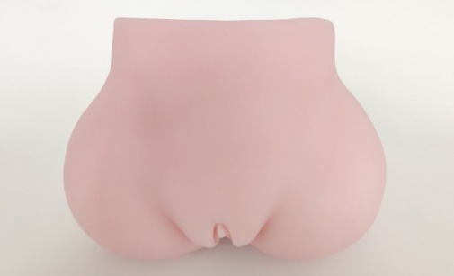 Drywell - Okita Anri Silicone Masturbator 5kg photo