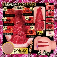 NPG - 山岸逢花 極上生腰 真2穴 自慰器 照片