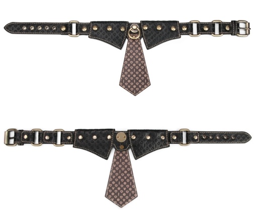 Lovetoy - Rebellion Reign Collar w Leash - Black photo
